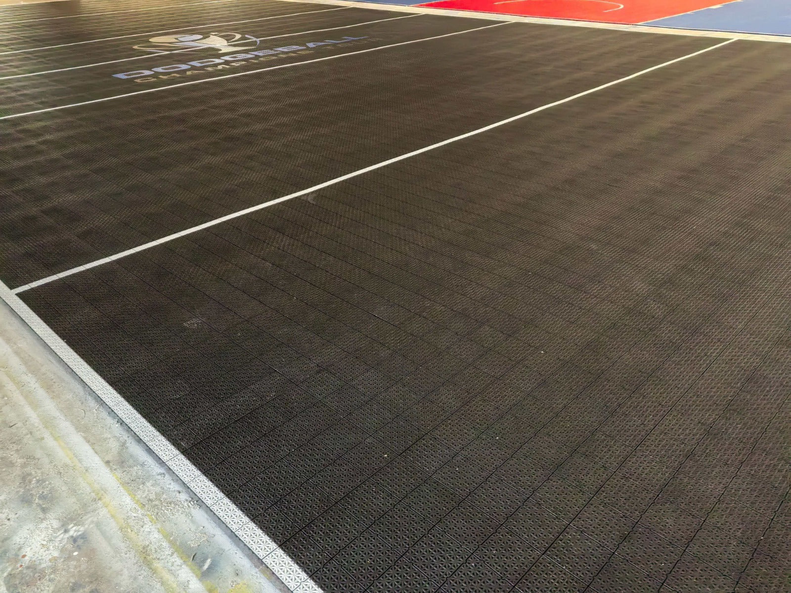 Black Large Elite tile layout and white dodgeball boundary lines