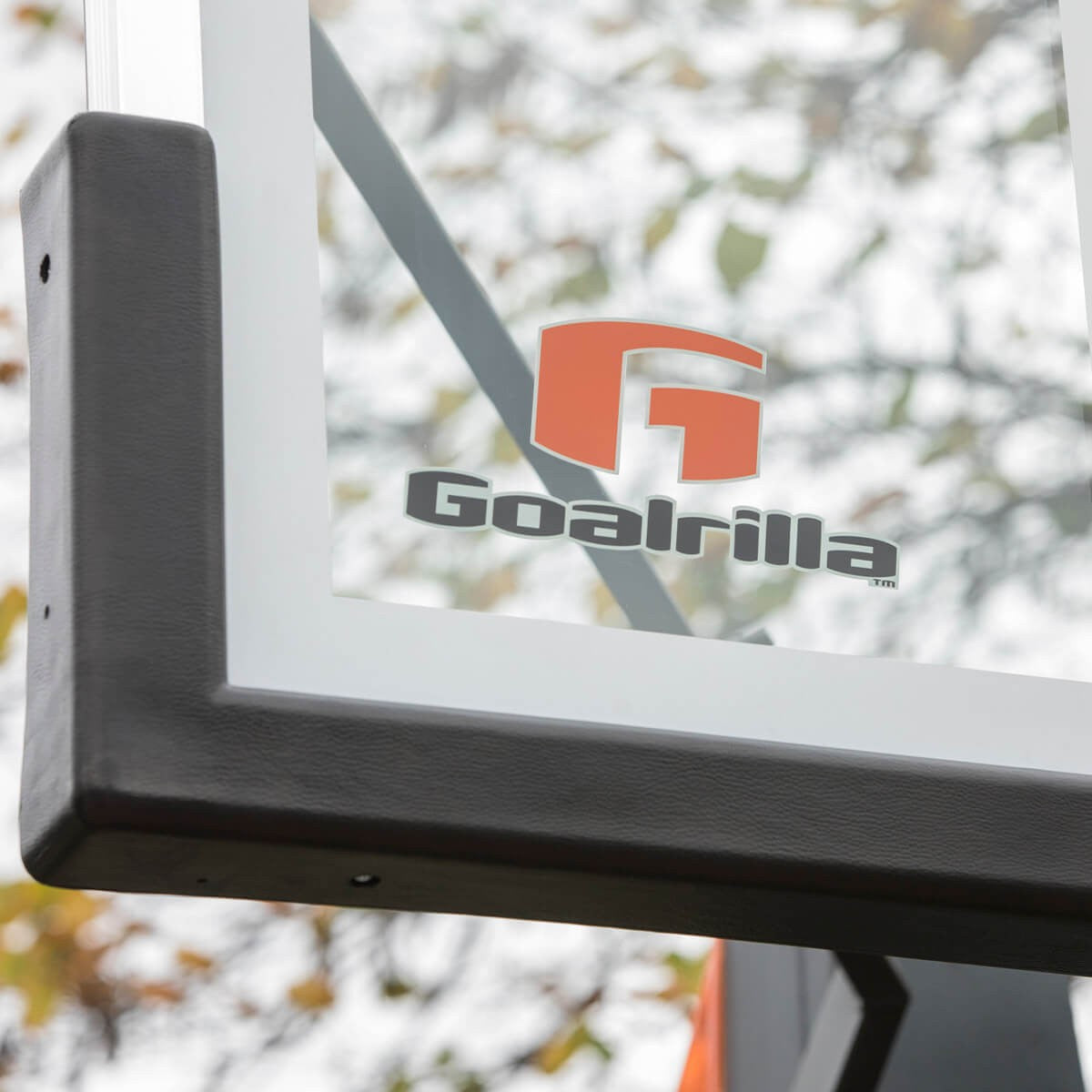 Goalrilla CV60 In-Ground Basketball Hoop